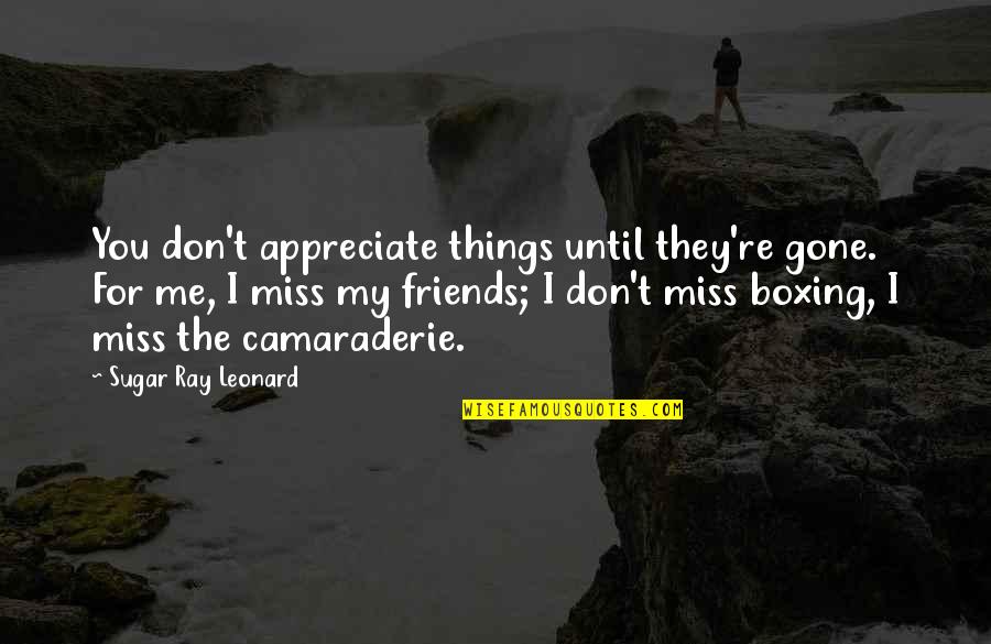 Friends Miss You Quotes By Sugar Ray Leonard: You don't appreciate things until they're gone. For