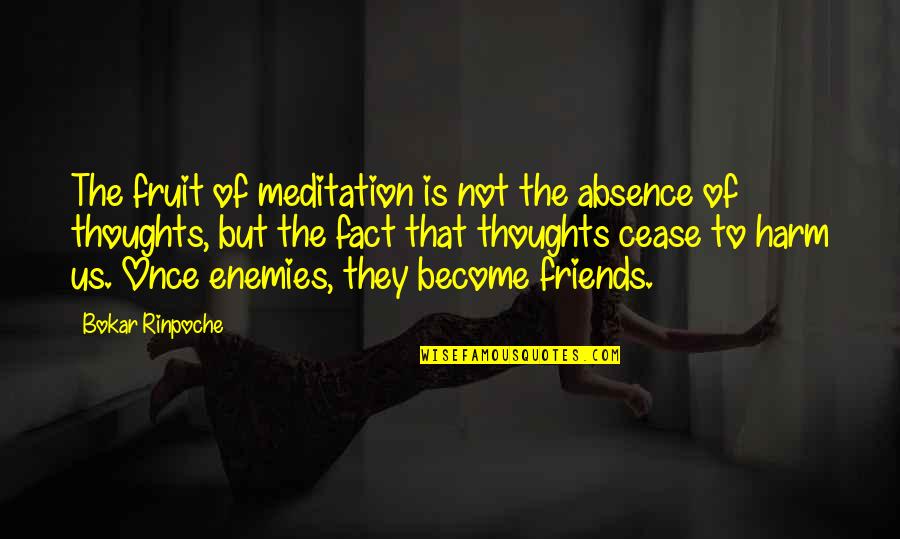 Friends Not Enemies Quotes By Bokar Rinpoche: The fruit of meditation is not the absence
