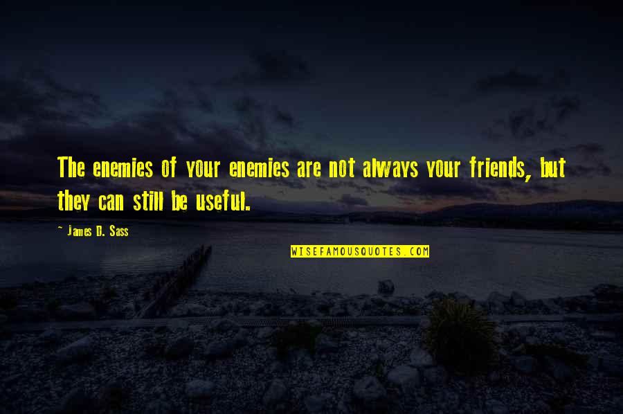 Friends Not Enemies Quotes By James D. Sass: The enemies of your enemies are not always
