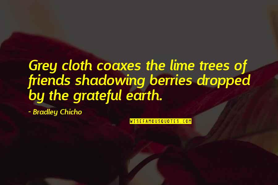 Friends Of The Earth Quotes By Bradley Chicho: Grey cloth coaxes the lime trees of friends