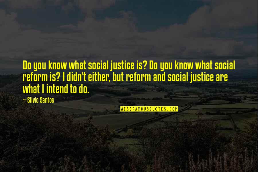 Friends Picking Up The Pieces Quotes By Silvio Santos: Do you know what social justice is? Do