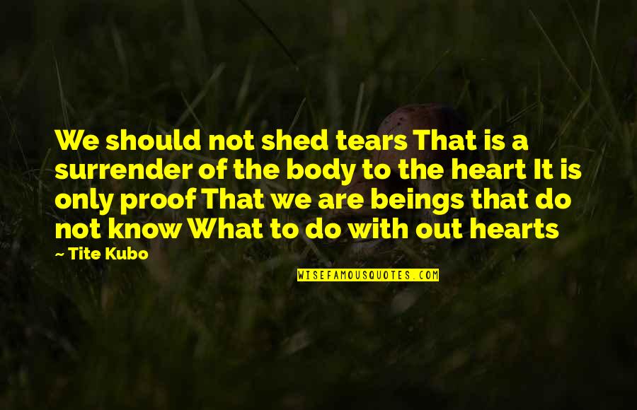 Friends Poetry Quotes By Tite Kubo: We should not shed tears That is a
