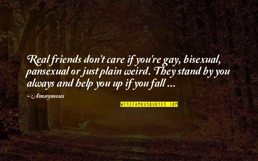 Friends Stand By You Quotes By Anonymous: Real friends don't care if you're gay, bisexual,
