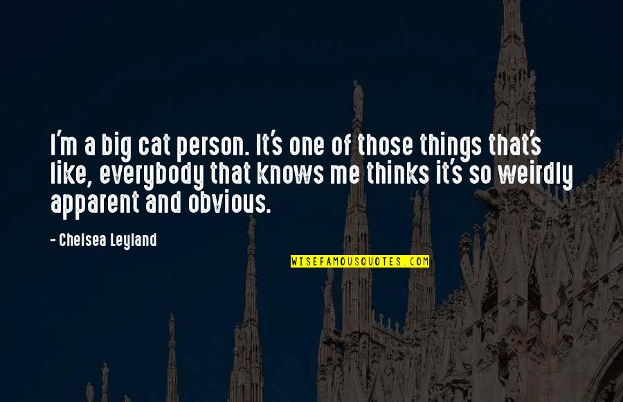 Friends Teasing Quotes By Chelsea Leyland: I'm a big cat person. It's one of Friends Teasing Quotes By Chelsea Leyland: I'm a big cat person. It's one of