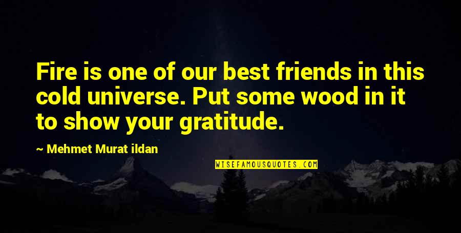 Friends The Show Best Quotes By Mehmet Murat Ildan: Fire is one of our best friends in