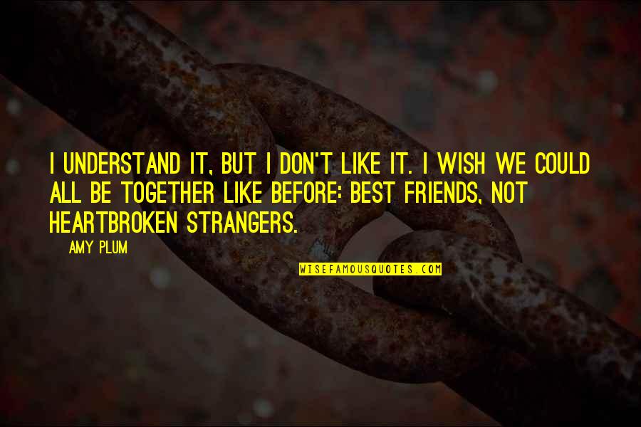 Friends Then Strangers Quotes By Amy Plum: I understand it, but I don't like it.
