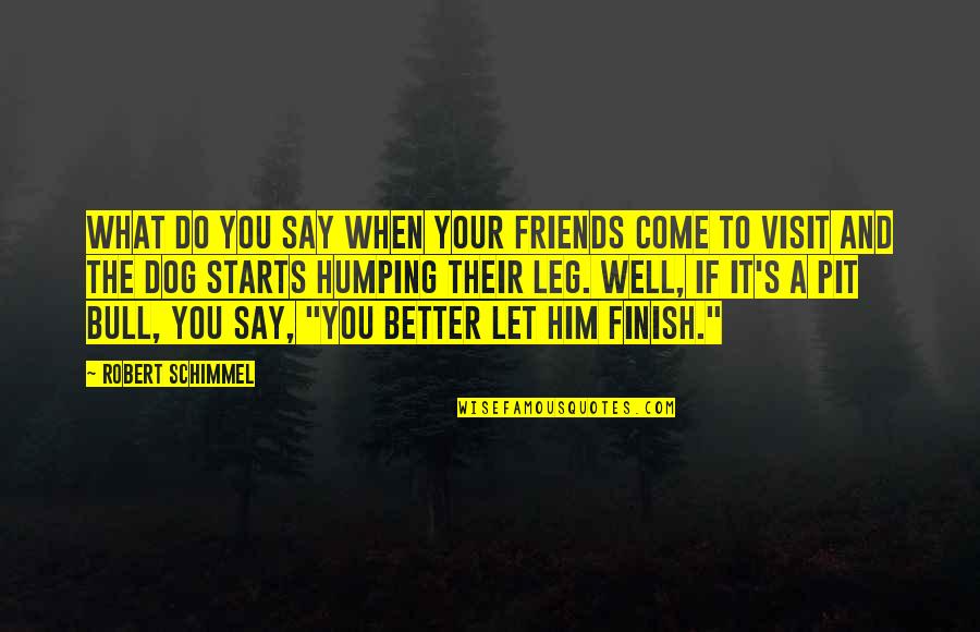Friends Visit Quotes By Robert Schimmel: What do you say when your friends come