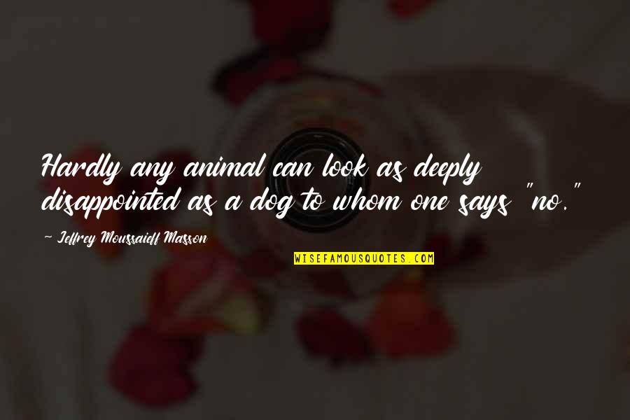 Friends Who Cheat Quotes By Jeffrey Moussaieff Masson: Hardly any animal can look as deeply disappointed Friends Who Cheat Quotes By Jeffrey Moussaieff Masson: Hardly any animal can look as deeply disappointed