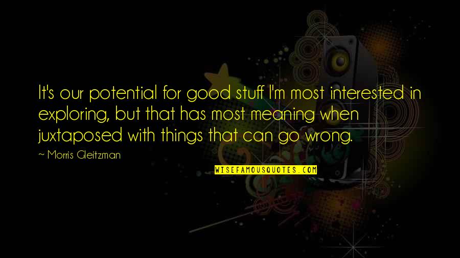 Friends Who Saw Each Other Again Quotes By Morris Gleitzman: It's our potential for good stuff I'm most