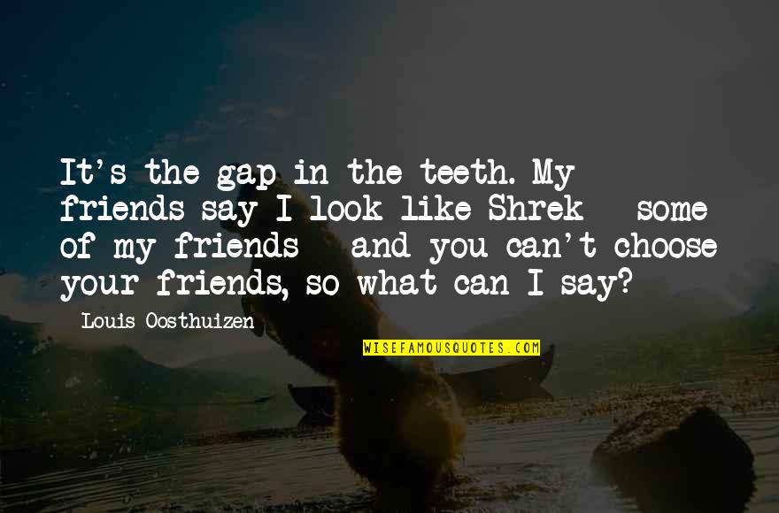 Friends You Choose Quotes By Louis Oosthuizen: It's the gap in the teeth. My friends