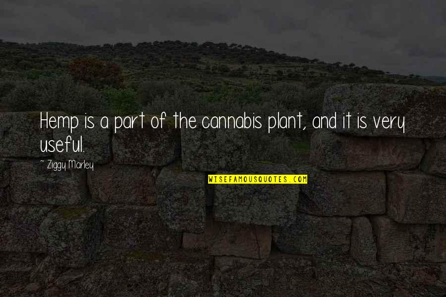 Friends You Used To Know Quotes By Ziggy Marley: Hemp is a part of the cannabis plant, Friends You Used To Know Quotes By Ziggy Marley: Hemp is a part of the cannabis plant,