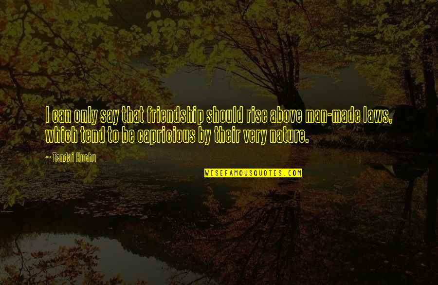 Friendship Above All Quotes By Tendai Huchu: I can only say that friendship should rise Friendship Above All Quotes By Tendai Huchu: I can only say that friendship should rise