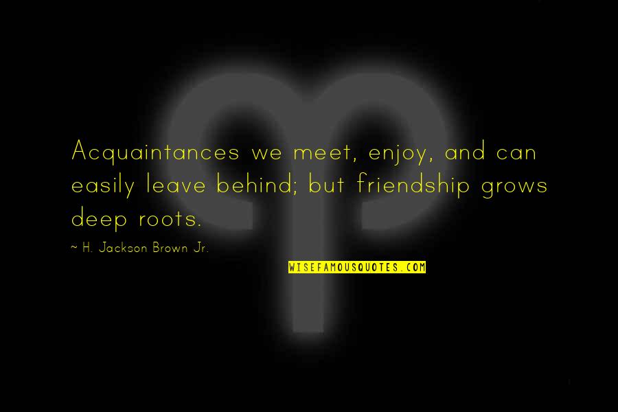 Friendship And Acquaintances Quotes By H. Jackson Brown Jr.: Acquaintances we meet, enjoy, and can easily leave