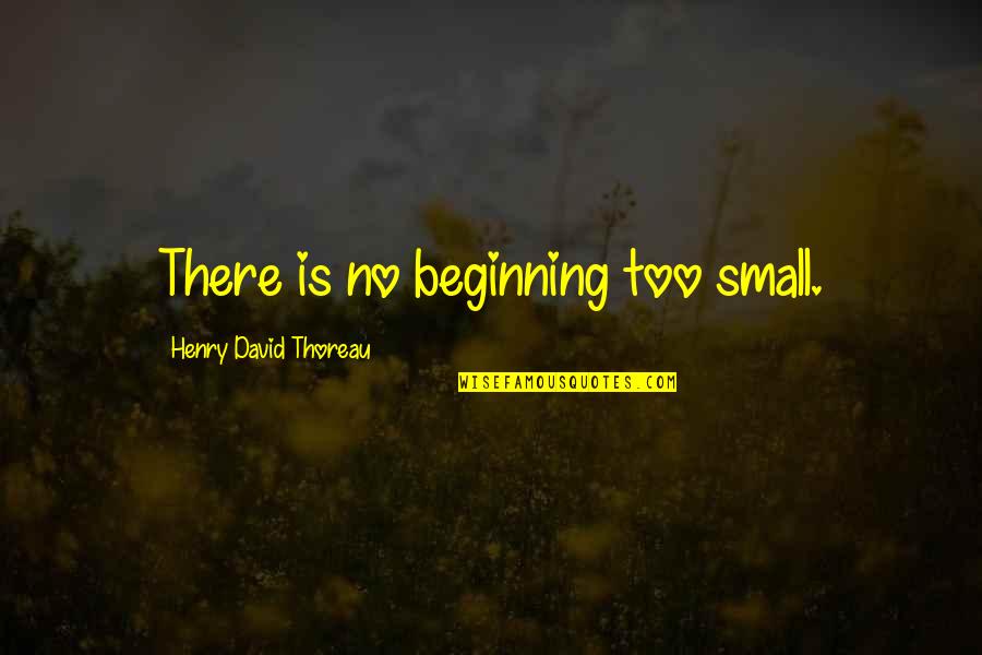 Friendship Beethoven Quotes By Henry David Thoreau: There is no beginning too small.