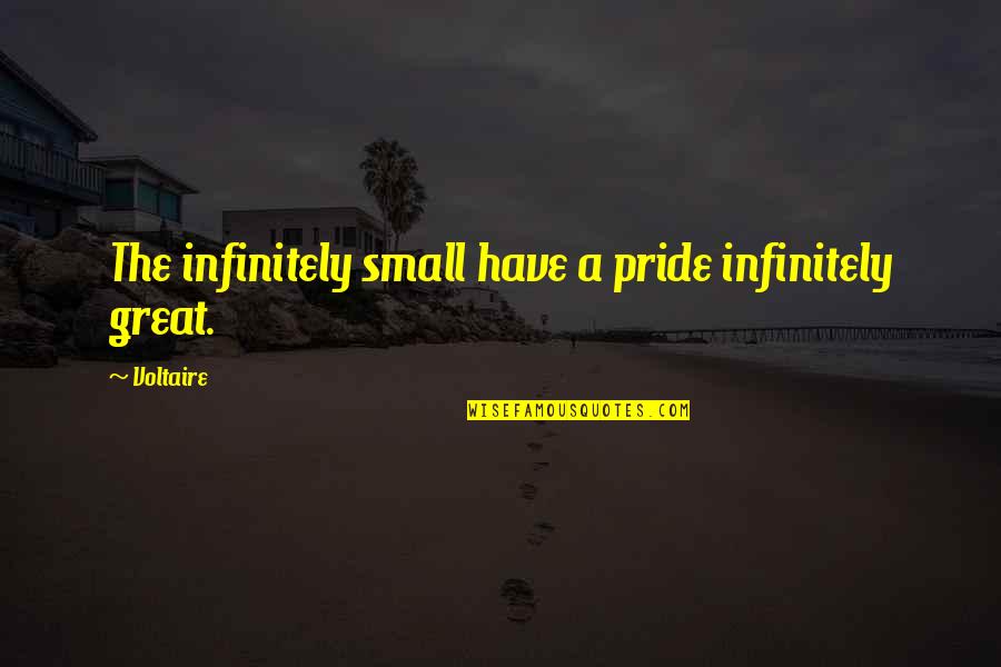 Friendship Bonding Quotes By Voltaire: The infinitely small have a pride infinitely great.