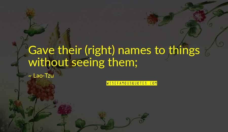 Friendship Established Quotes By Lao-Tzu: Gave their (right) names to things without seeing