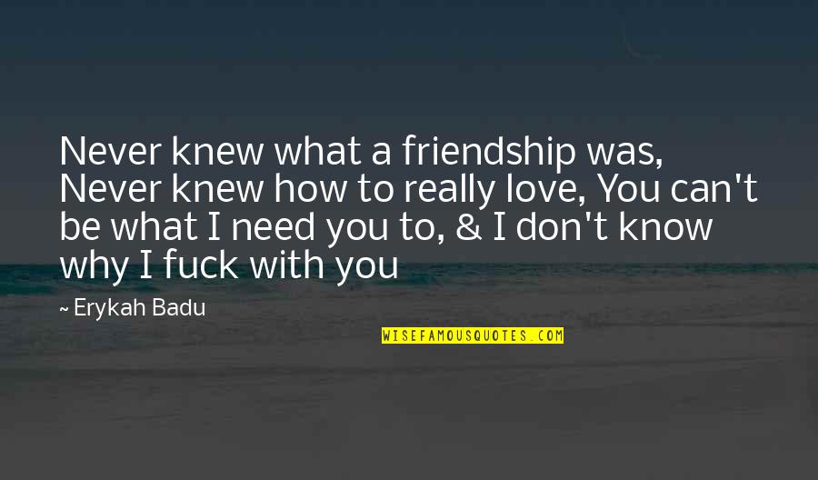 Friendship I Love You Quotes By Erykah Badu: Never knew what a friendship was, Never knew