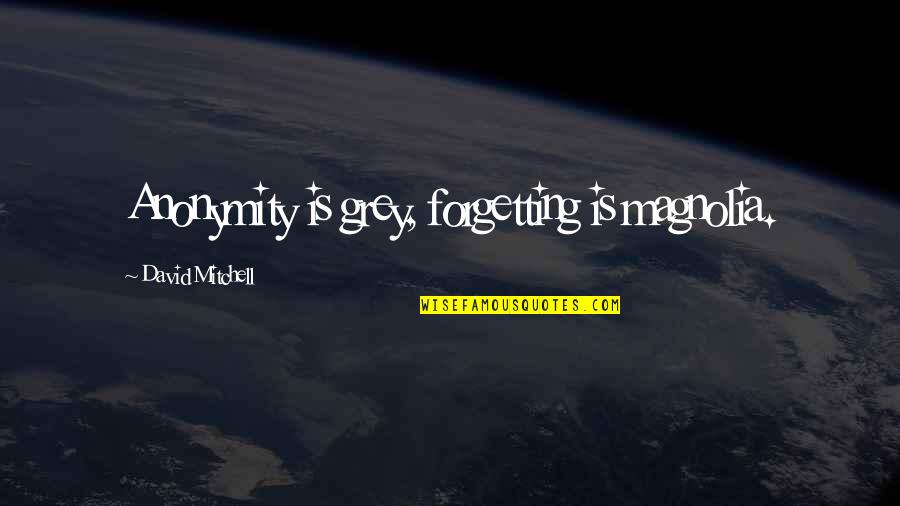 Friendship In College Quotes By David Mitchell: Anonymity is grey, forgetting is magnolia.