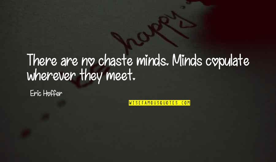 Friendship In English Quotes By Eric Hoffer: There are no chaste minds. Minds copulate wherever