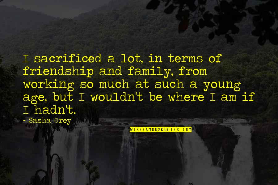 Friendship In Family Quotes By Sasha Grey: I sacrificed a lot, in terms of friendship Friendship In Family Quotes By Sasha Grey: I sacrificed a lot, in terms of friendship