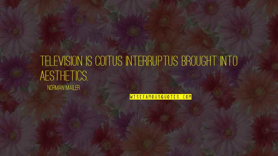 Friendship In Japanese Quotes By Norman Mailer: Television is coitus interruptus brought into aesthetics. Friendship In Japanese Quotes By Norman Mailer: Television is coitus interruptus brought into aesthetics.