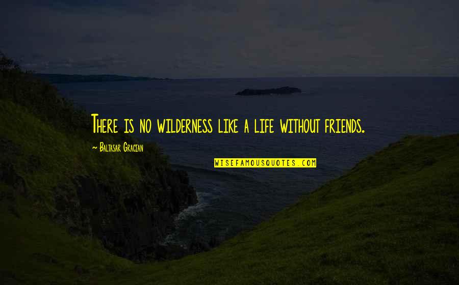 Friendship Is Like A Quotes By Baltasar Gracian: There is no wilderness like a life without