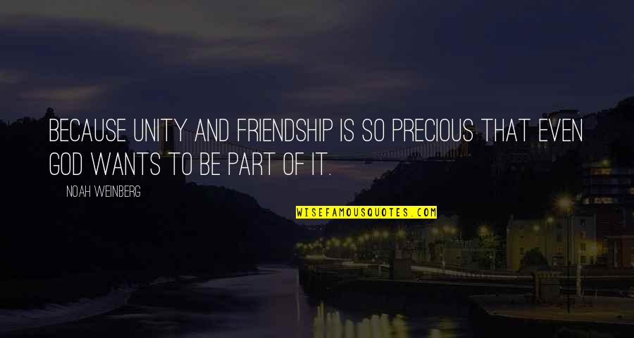 Friendship Is Precious Quotes By Noah Weinberg: Because unity and friendship is so precious that