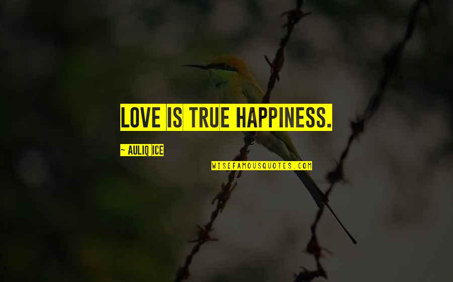 Friendship Love And Happiness Quotes By Auliq Ice: Love is true happiness.