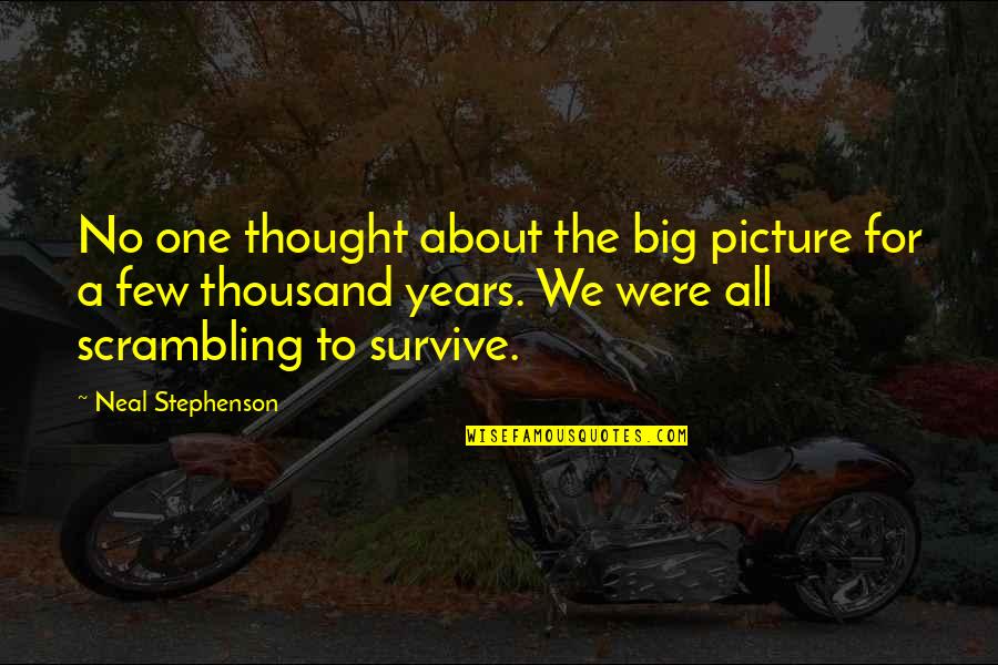 Friendship-love Confusion Quotes By Neal Stephenson: No one thought about the big picture for