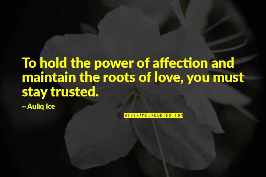 Friendship Over Quotes Quotes By Auliq Ice: To hold the power of affection and maintain