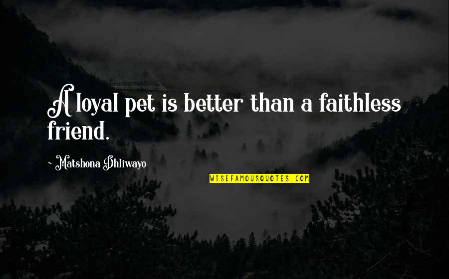 Friendship Quotes And Quotes By Matshona Dhliwayo: A loyal pet is better than a faithless