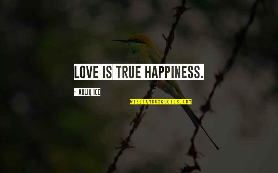 Friendship Relationships Quotes By Auliq Ice: Love is true happiness.