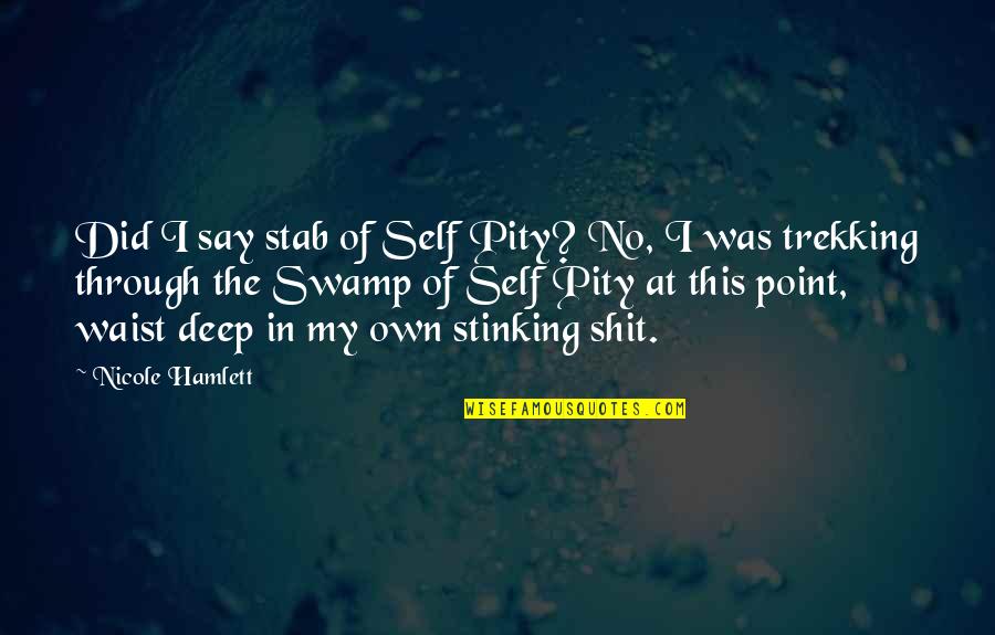 Friendship Rift Quotes By Nicole Hamlett: Did I say stab of Self Pity? No,