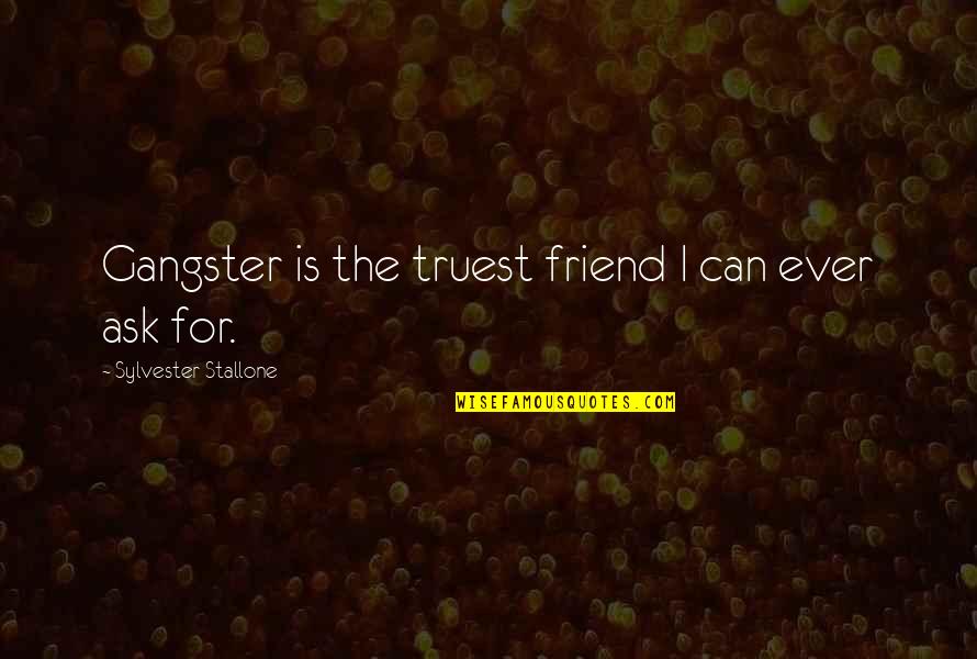 Friendship With Dog Quotes By Sylvester Stallone: Gangster is the truest friend I can ever