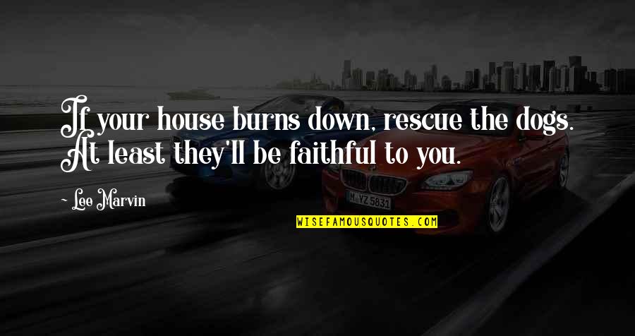 Friendship With Dogs Quotes By Lee Marvin: If your house burns down, rescue the dogs.