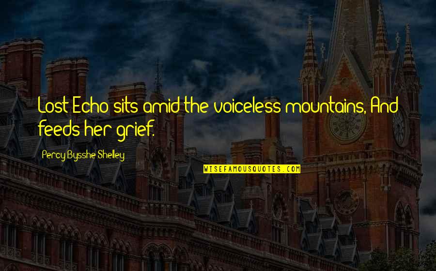 Frieza Special Quotes By Percy Bysshe Shelley: Lost Echo sits amid the voiceless mountains, And