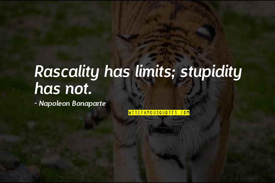 Friggin Awesome Quotes By Napoleon Bonaparte: Rascality has limits; stupidity has not.