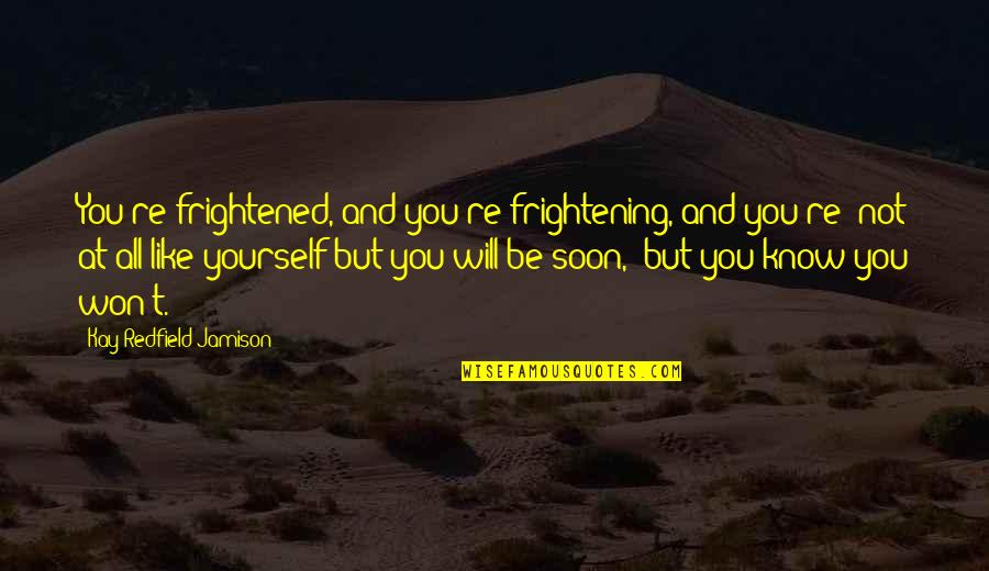Frightened Quotes By Kay Redfield Jamison: You're frightened, and you're frightening, and you're 'not