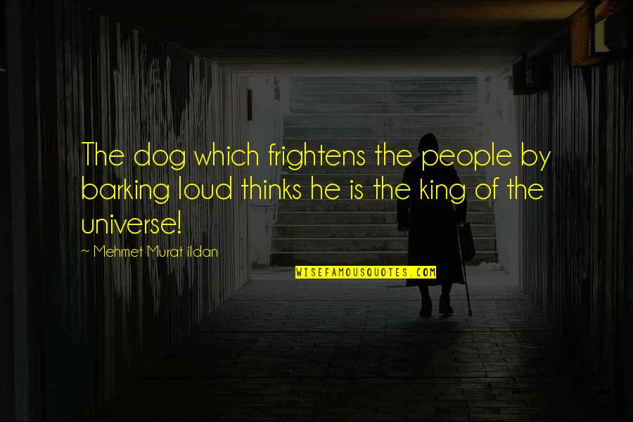 Frightens Quotes By Mehmet Murat Ildan: The dog which frightens the people by barking