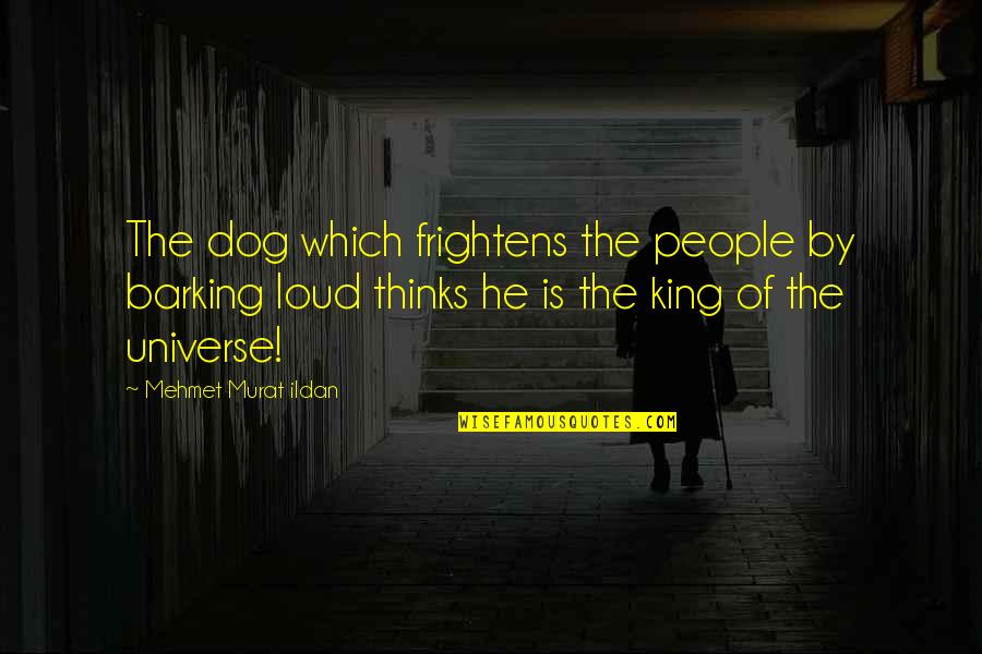 Frightens Quotes By Mehmet Murat Ildan: The dog which frightens the people by barking Frightens Quotes By Mehmet Murat Ildan: The dog which frightens the people by barking