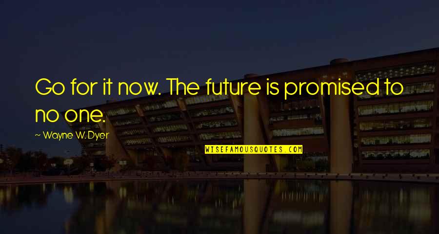 Frindle The Book Quotes By Wayne W. Dyer: Go for it now. The future is promised