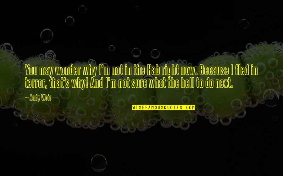 Frischeis Visoko Quotes By Andy Weir: You may wonder why I'm not in the