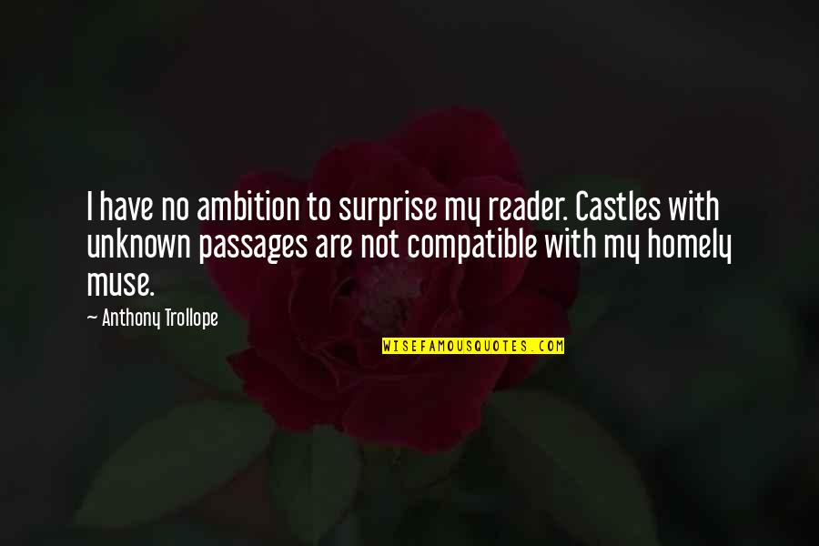 Frischeis Visoko Quotes By Anthony Trollope: I have no ambition to surprise my reader.