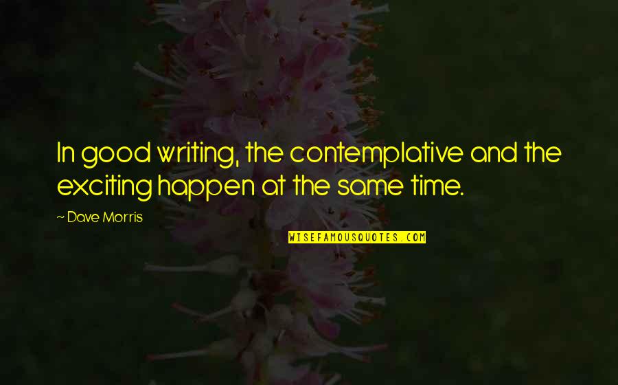 Frischkorn Houston Quotes By Dave Morris: In good writing, the contemplative and the exciting