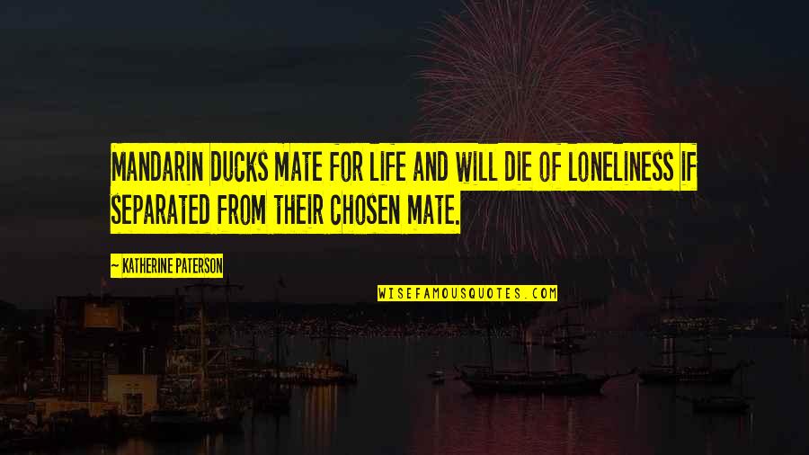 Frisinger Winery Quotes By Katherine Paterson: Mandarin ducks mate for life and will die Frisinger Winery Quotes By Katherine Paterson: Mandarin ducks mate for life and will die