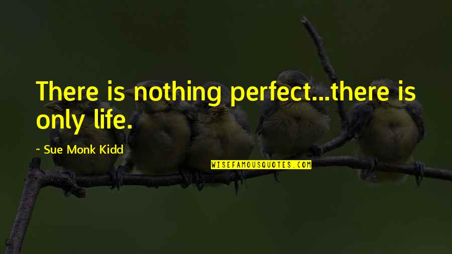 Frisking Procedure Quotes By Sue Monk Kidd: There is nothing perfect...there is only life.