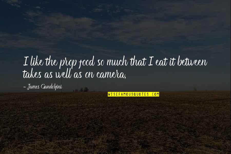 Fritando Rave Quotes By James Gandolfini: I like the prop food so much that