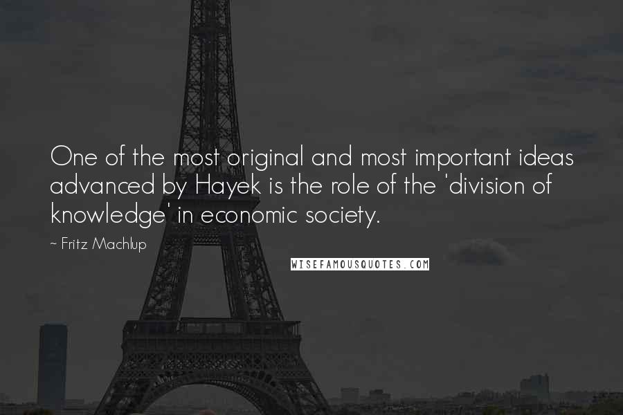 Fritz Machlup quotes: One of the most original and most important ideas advanced by Hayek is the role of the 'division of knowledge' in economic society.