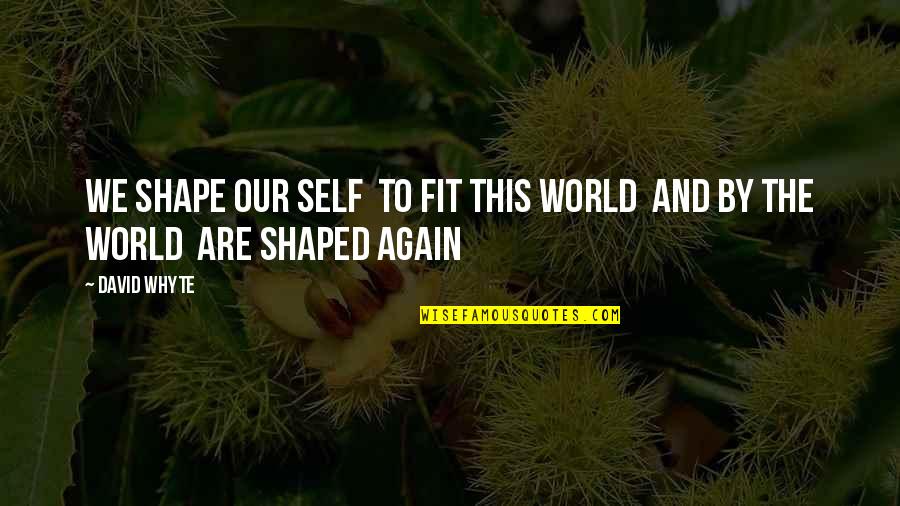 Frn Quotes By David Whyte: We shape our self to fit this world