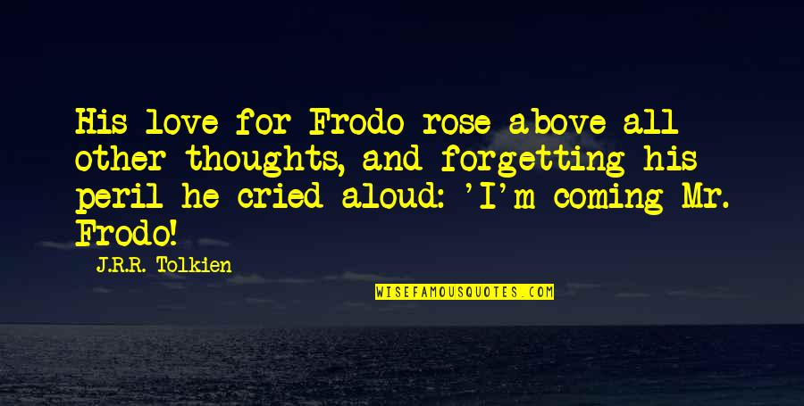 Frodo Lord Of The Rings Quotes By J.R.R. Tolkien: His love for Frodo rose above all other